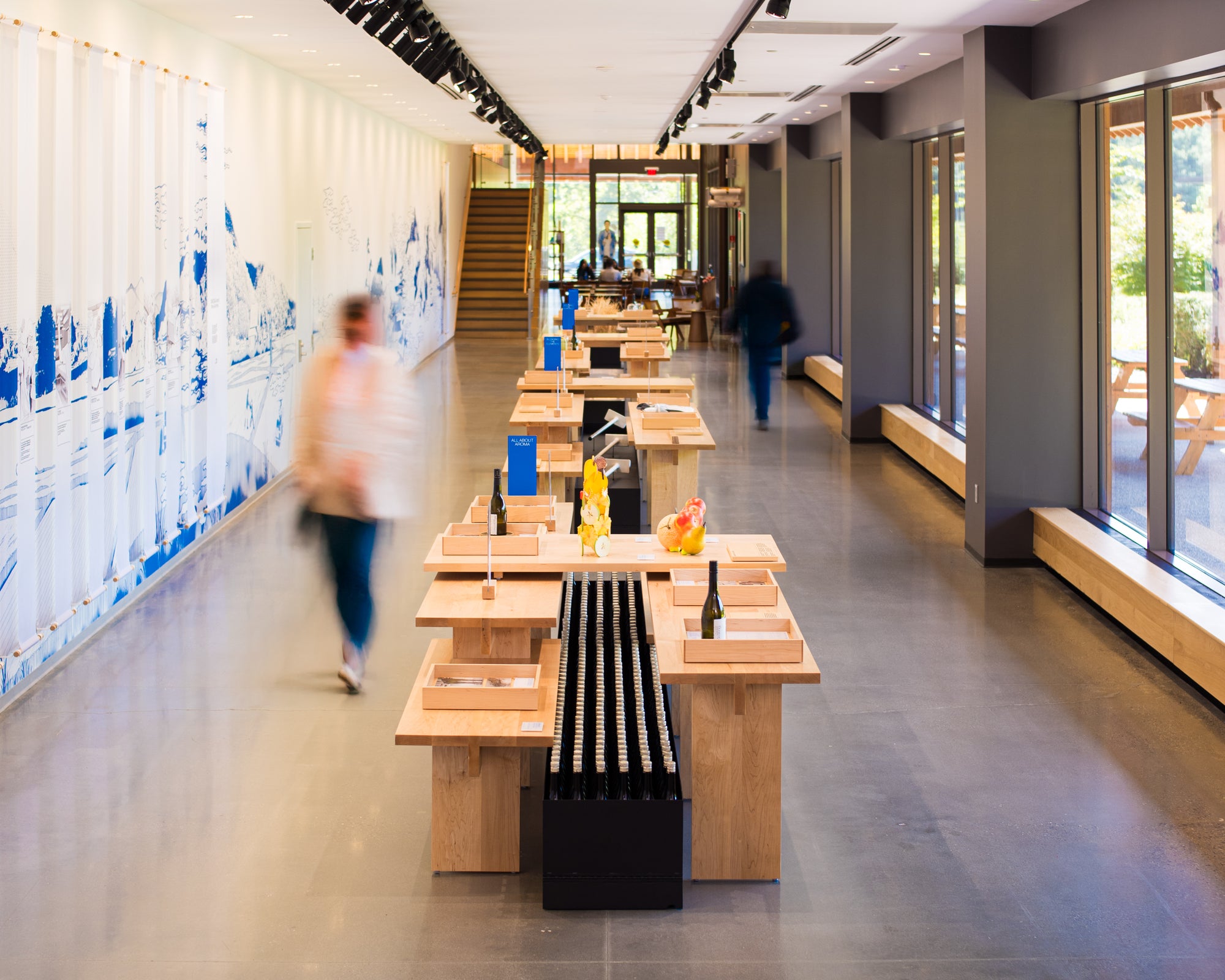 Modern interior with wooden tables and benches in the corridor of the Dassai Blue Sake Brewery.